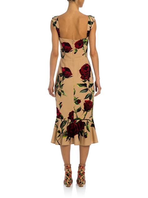 dolce gabbana rose dress spring summer 2015|Dolce & Gabbana charmeuse midi dress.